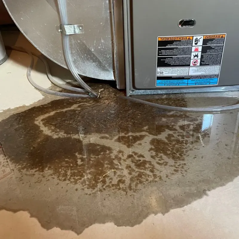 Pipe Burst and Leak Restoration in South Bound Brook, NJ